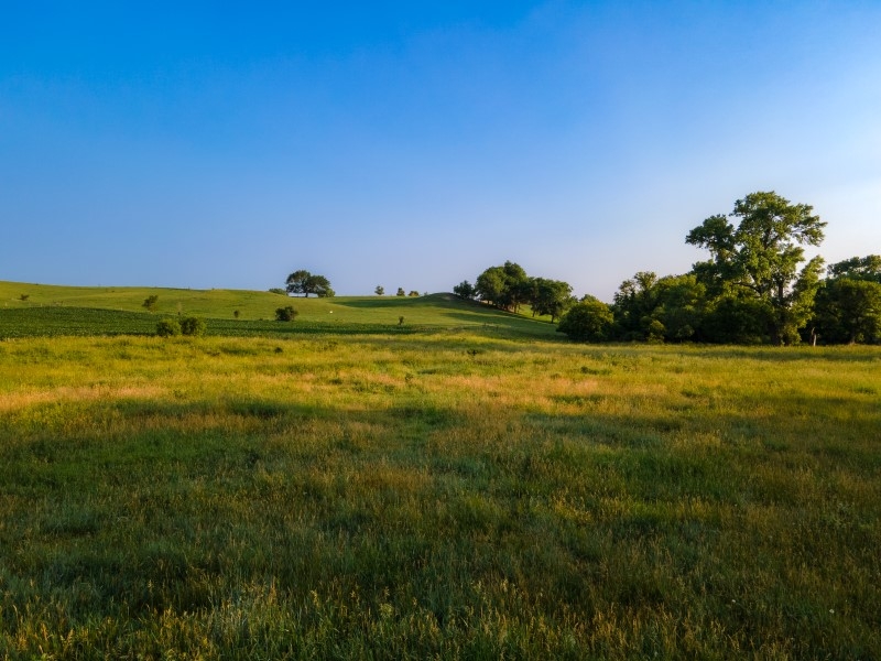 Mapleton 13