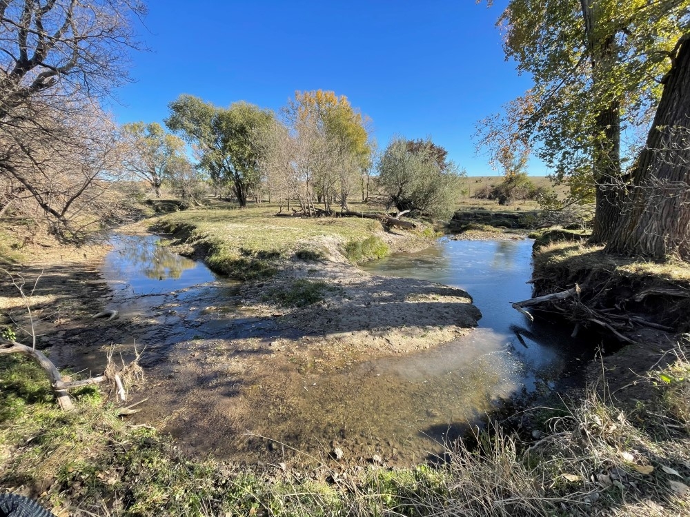 Site 11