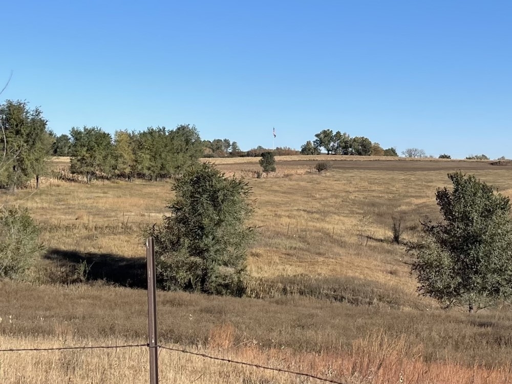 Site 29