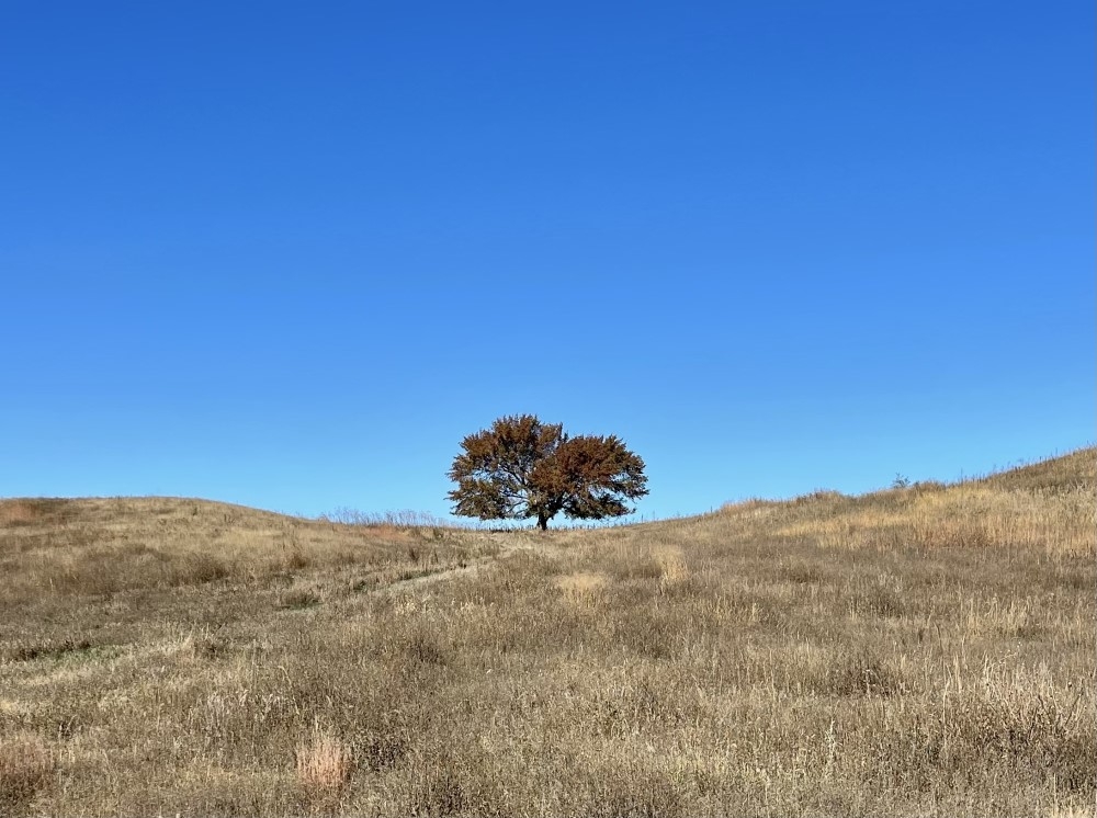 Site 3