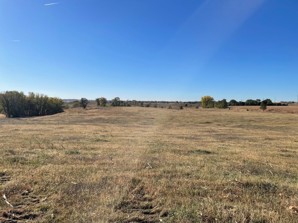 Site 31