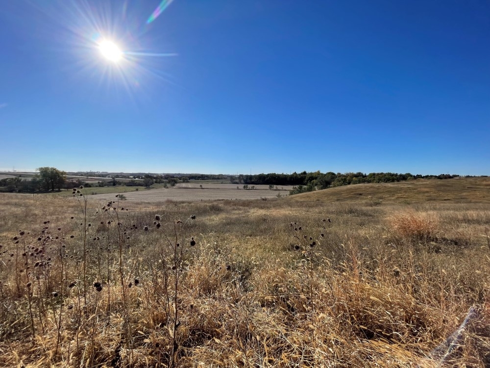 Site 7